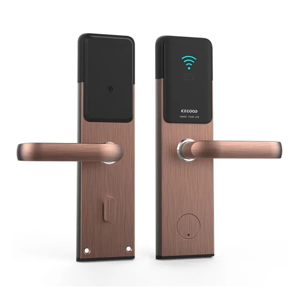 Namų elektroninės elektrinės Tuya App Wifi Smart Lock funkcija